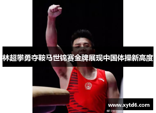 林超攀勇夺鞍马世锦赛金牌展现中国体操新高度