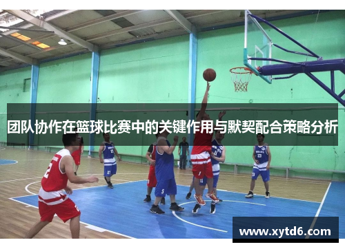 团队协作在篮球比赛中的关键作用与默契配合策略分析