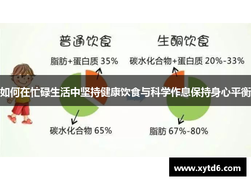 如何在忙碌生活中坚持健康饮食与科学作息保持身心平衡