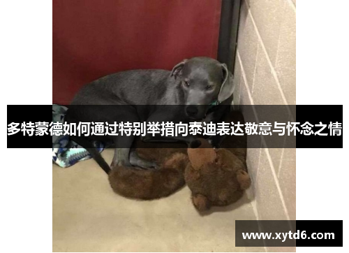 多特蒙德如何通过特别举措向泰迪表达敬意与怀念之情