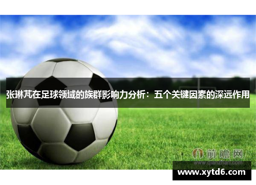 张琳芃在足球领域的族群影响力分析：五个关键因素的深远作用