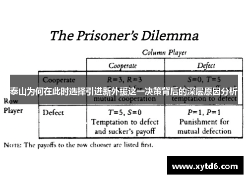 泰山为何在此时选择引进新外援这一决策背后的深层原因分析