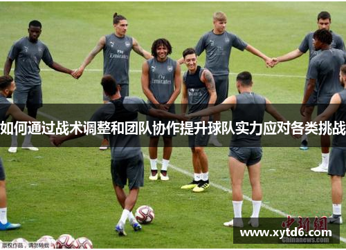 如何通过战术调整和团队协作提升球队实力应对各类挑战