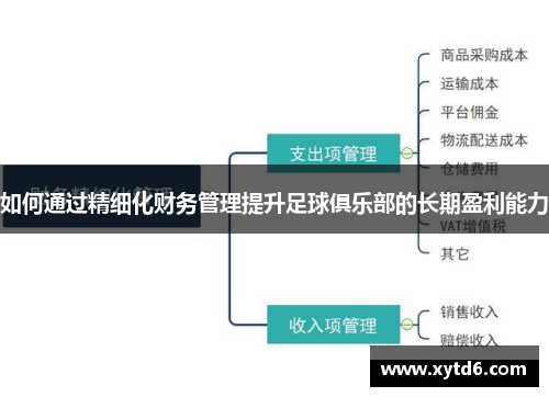 如何通过精细化财务管理提升足球俱乐部的长期盈利能力