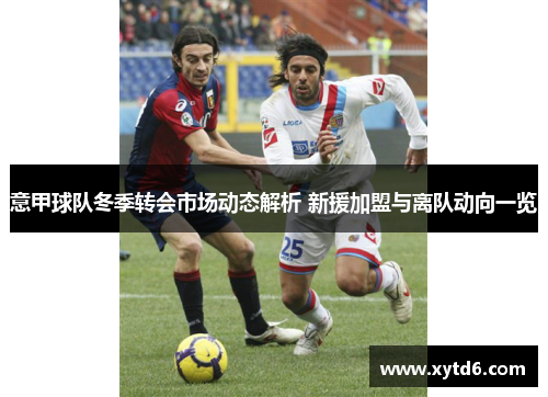 意甲球队冬季转会市场动态解析 新援加盟与离队动向一览