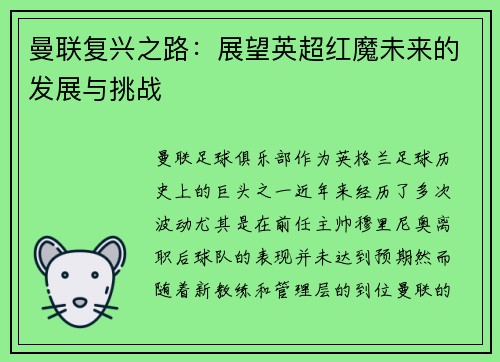 曼联复兴之路：展望英超红魔未来的发展与挑战